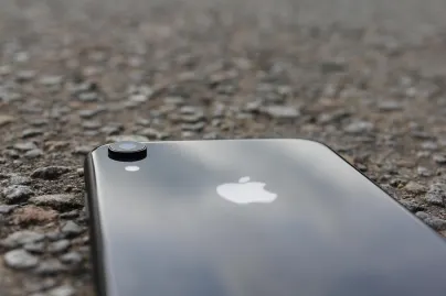 Casino Jungle Raja Mobile App